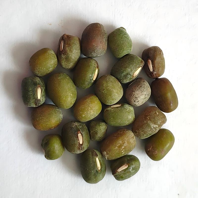 mung bean-6