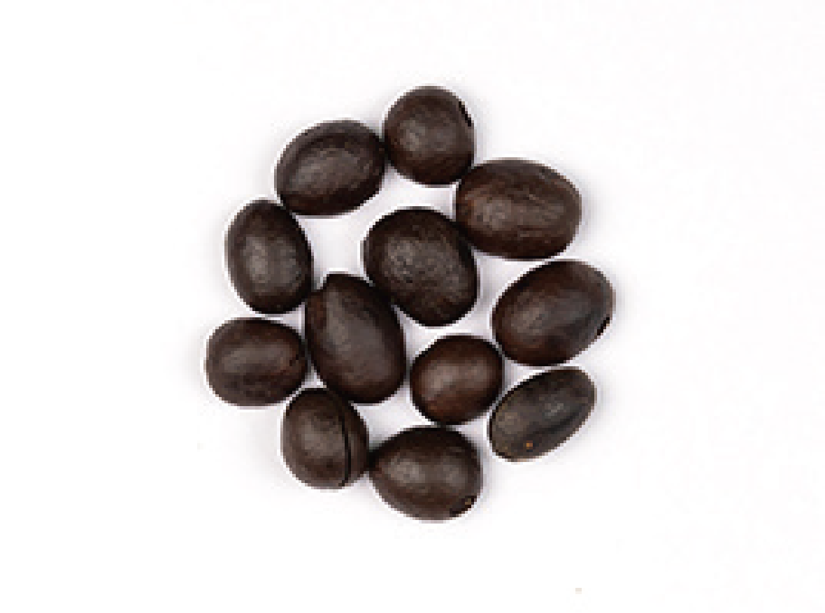 roasted coffee bean-3