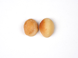 macadamia-3