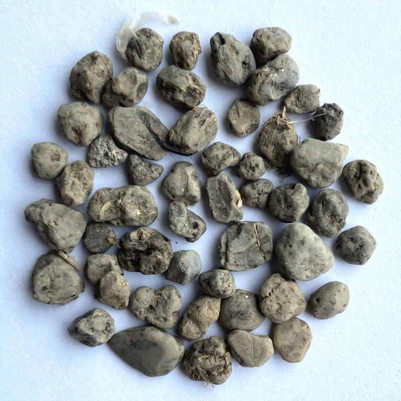 12.Soil Clods.jpg