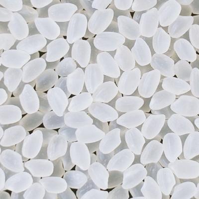 6.Japonica Rice.png