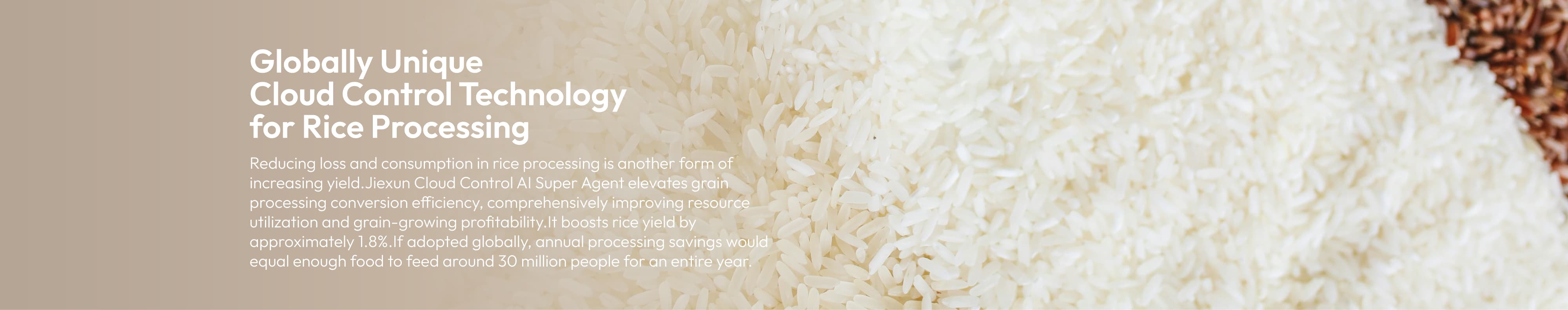 Rice
