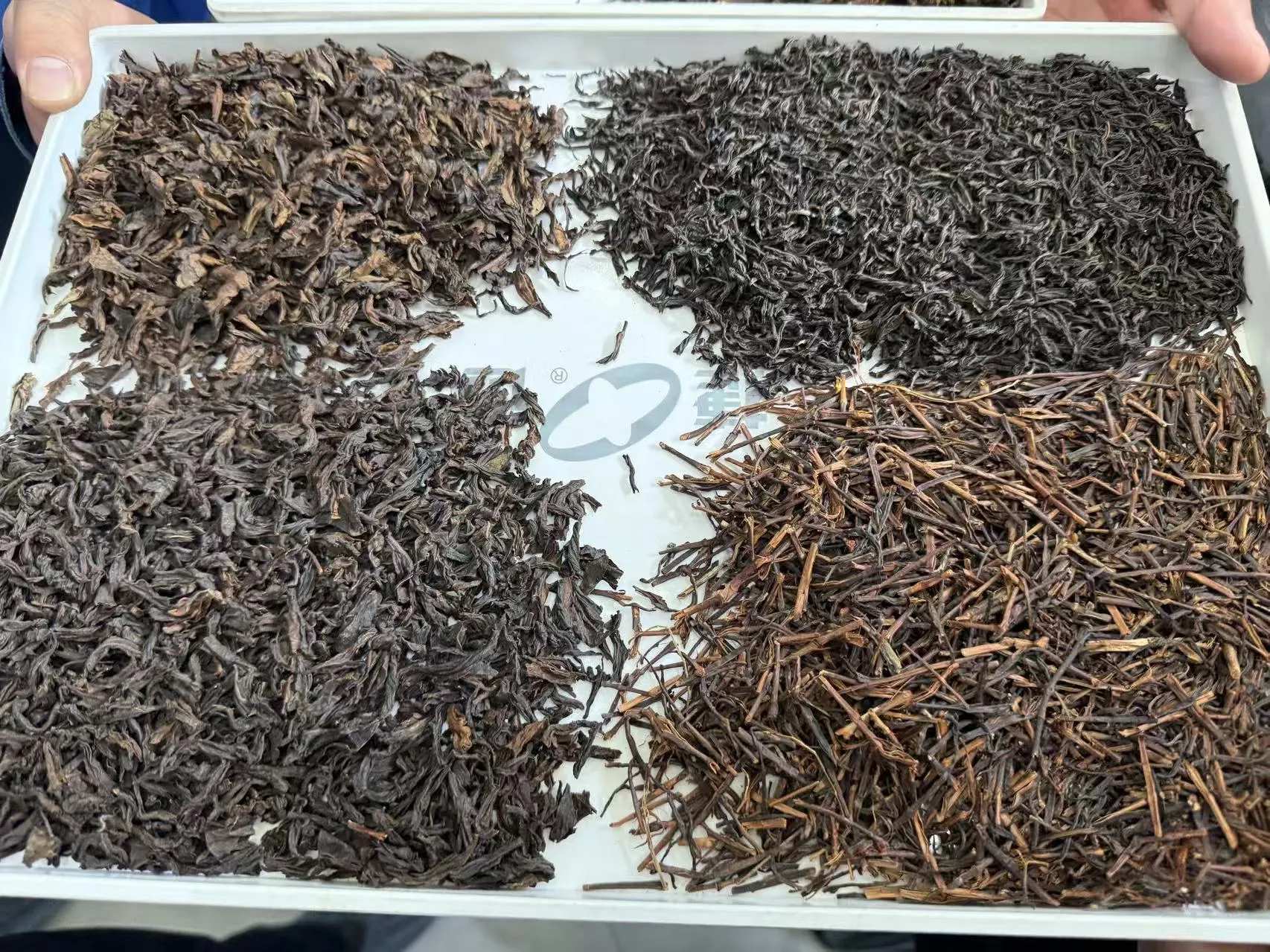 ANYSORT Tea Quality Sorters Empower the Transformation of India’s Tea Processing Industry