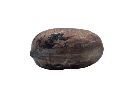 pecan-0