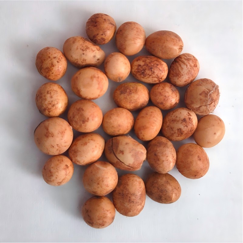 Soya fasulyesi