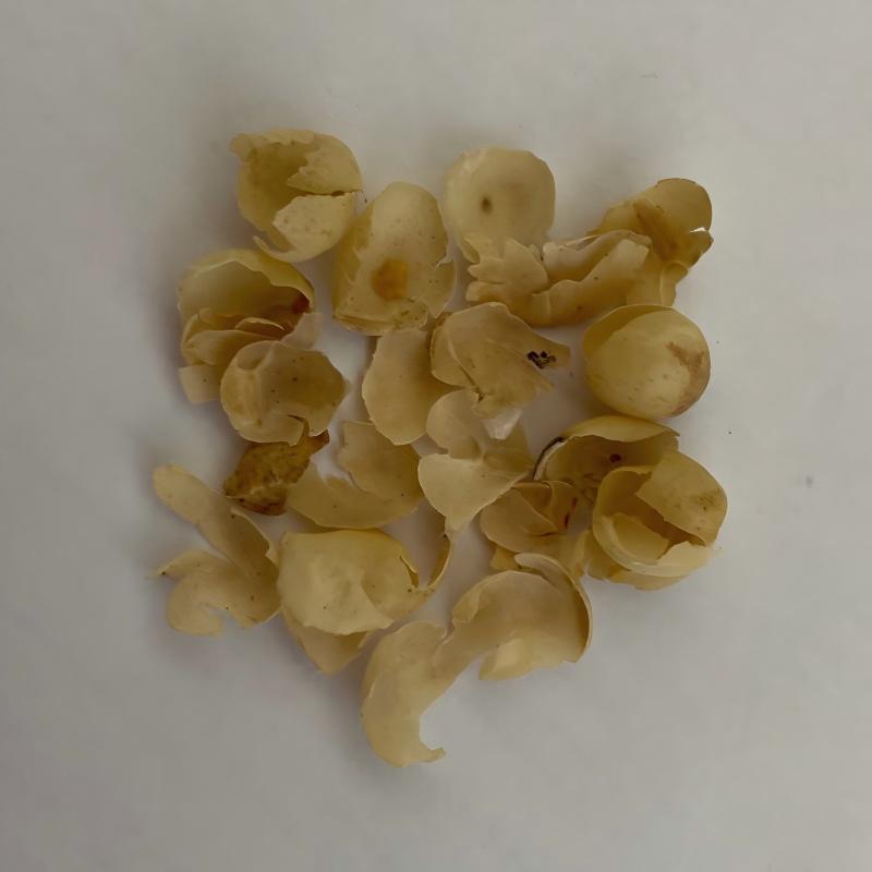Soybean Skins.jpg
