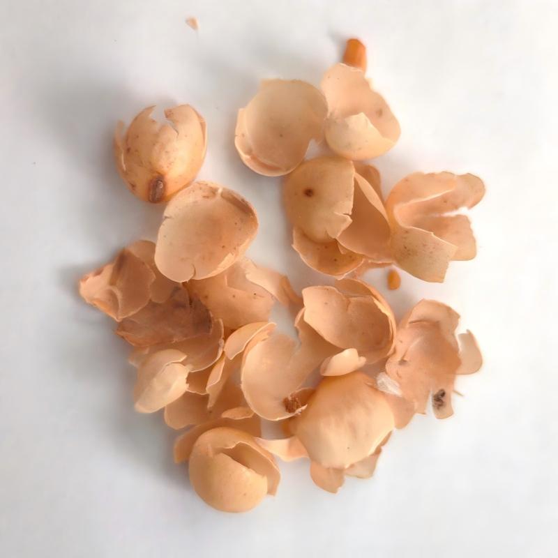 Soybean Hulls.jpg