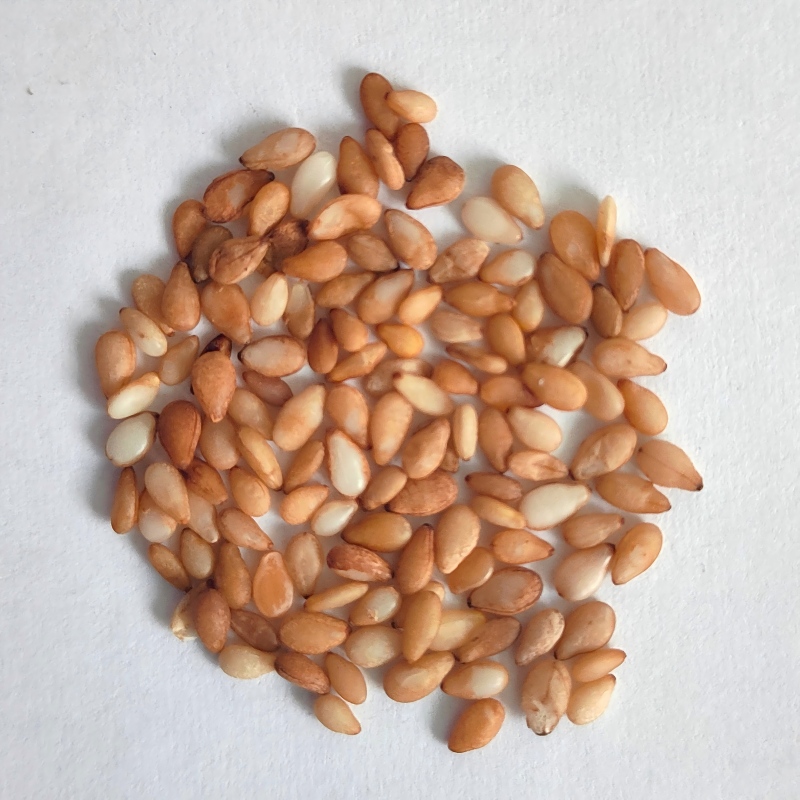 white sesame-2