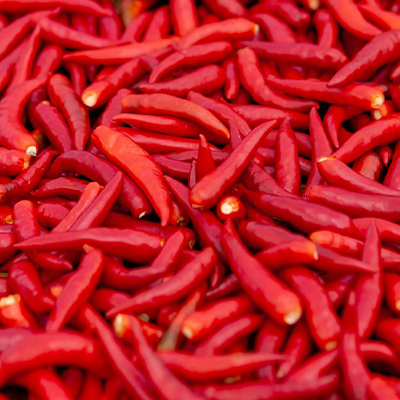Fresh Chili