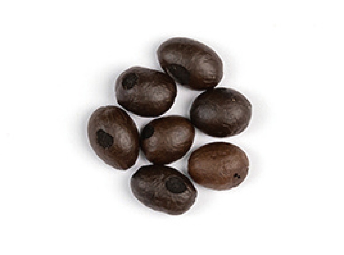 roasted coffee bean-5