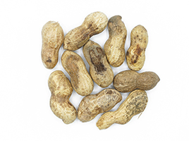peanut-4