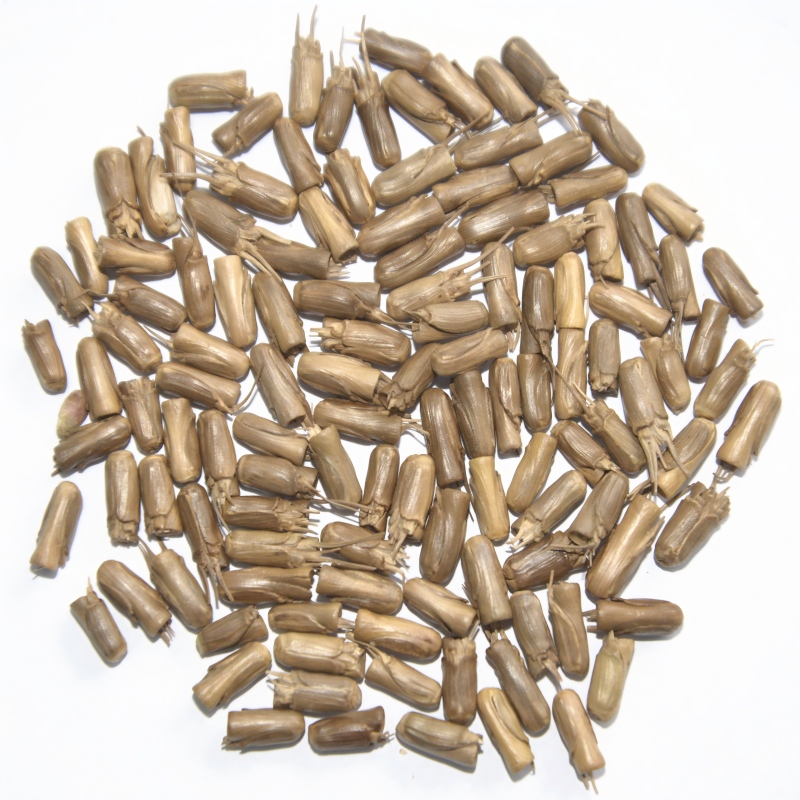 wheat-7