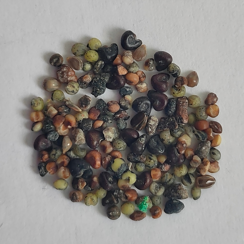 millet-3