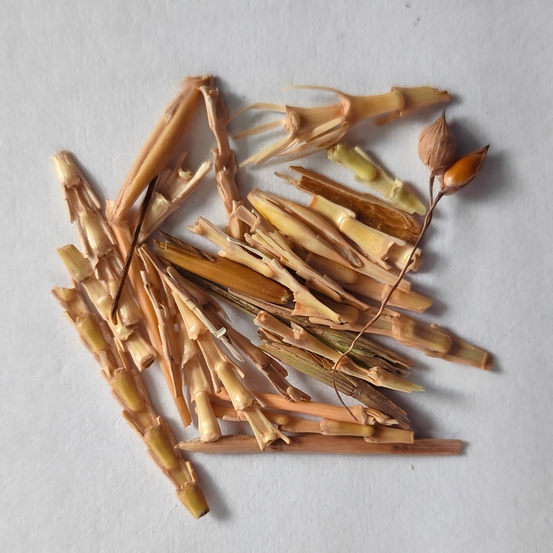 7.Straw.jpg