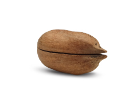 Pekanové oříšky