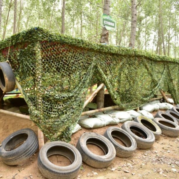 Woodland 4.jpg