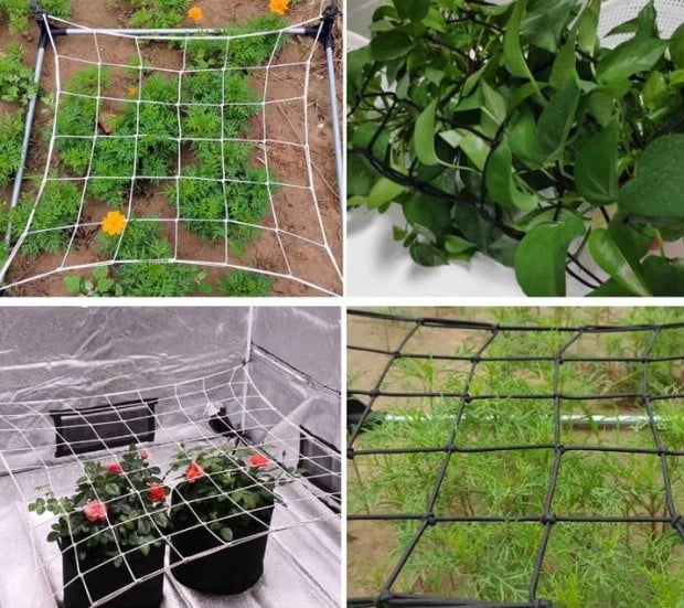The Technological Revolution in Agricultural Nets for a Hungry Planet 4