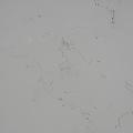 Model 1018 Calacatta White engineered stone texture