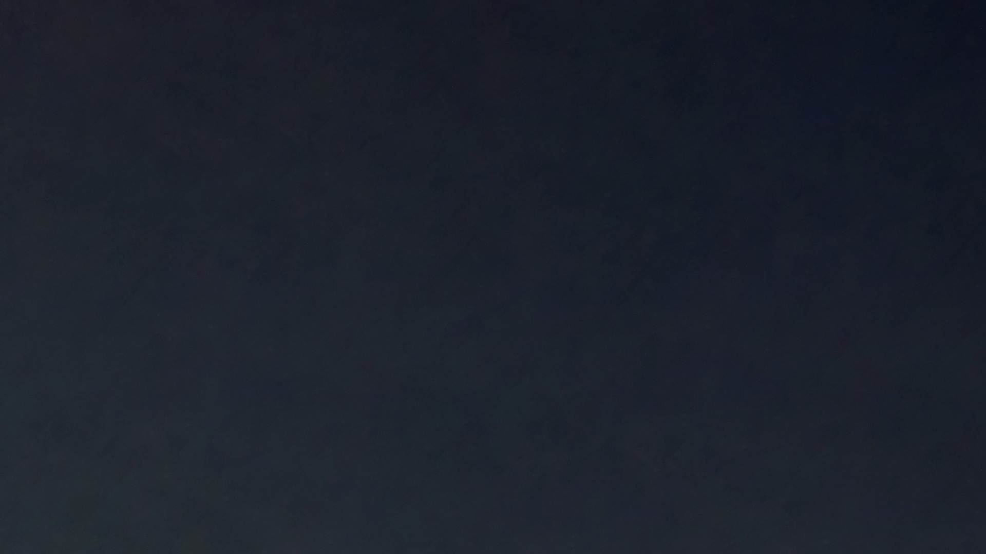 3100.jpg