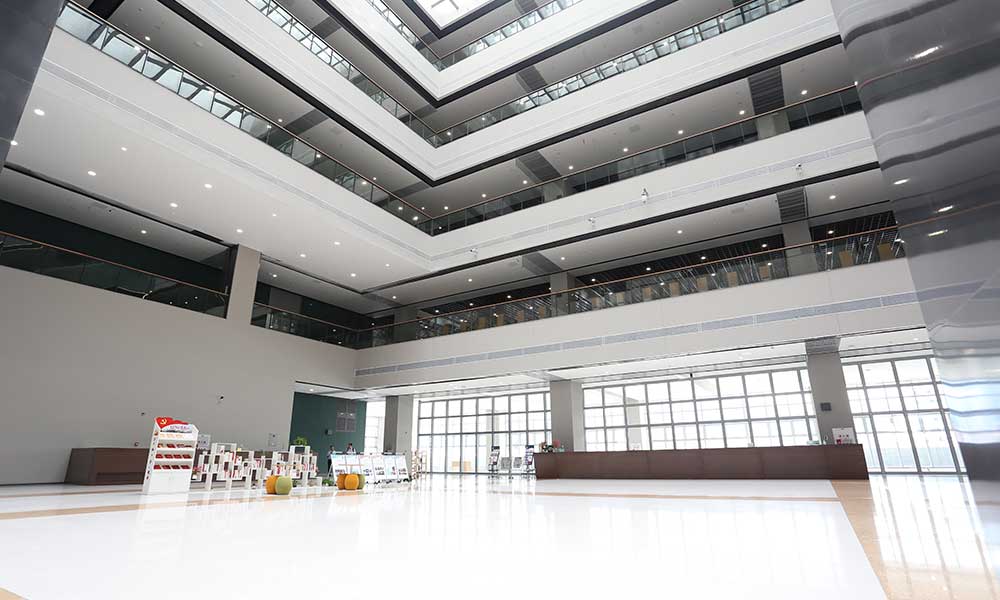 shenzhen-technology-university-3.jpg