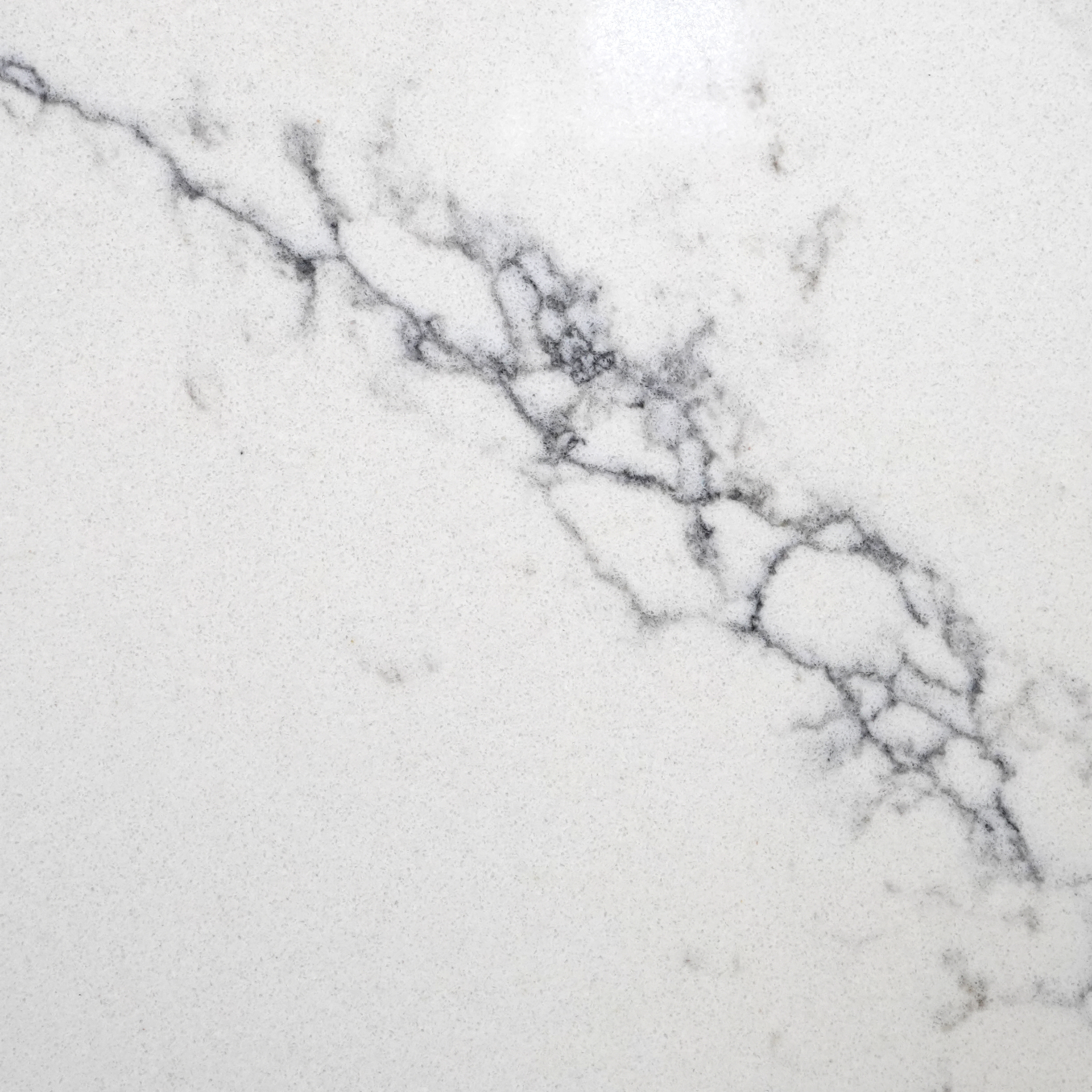 Are Quartz Kitchen Countertops Worth the Investment for Modern Homes?