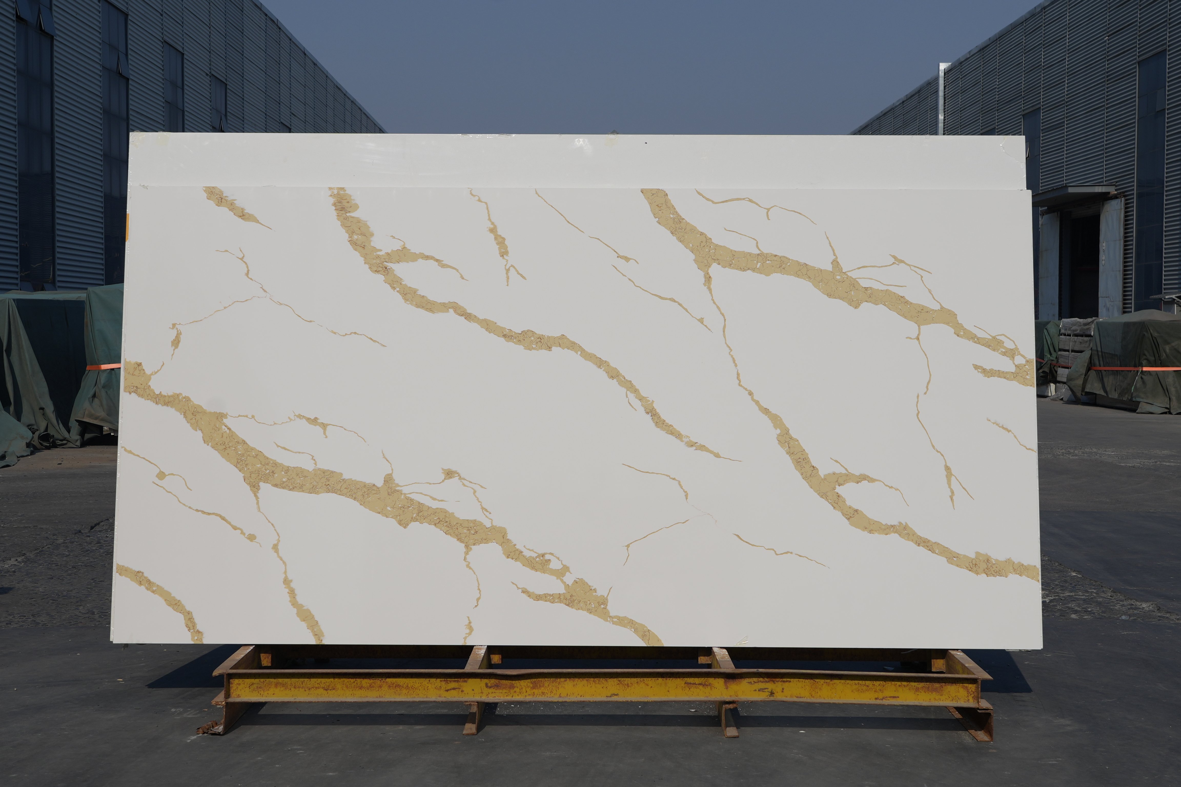 8101