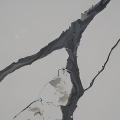 Model 1009 Calacatta White composite stone texture