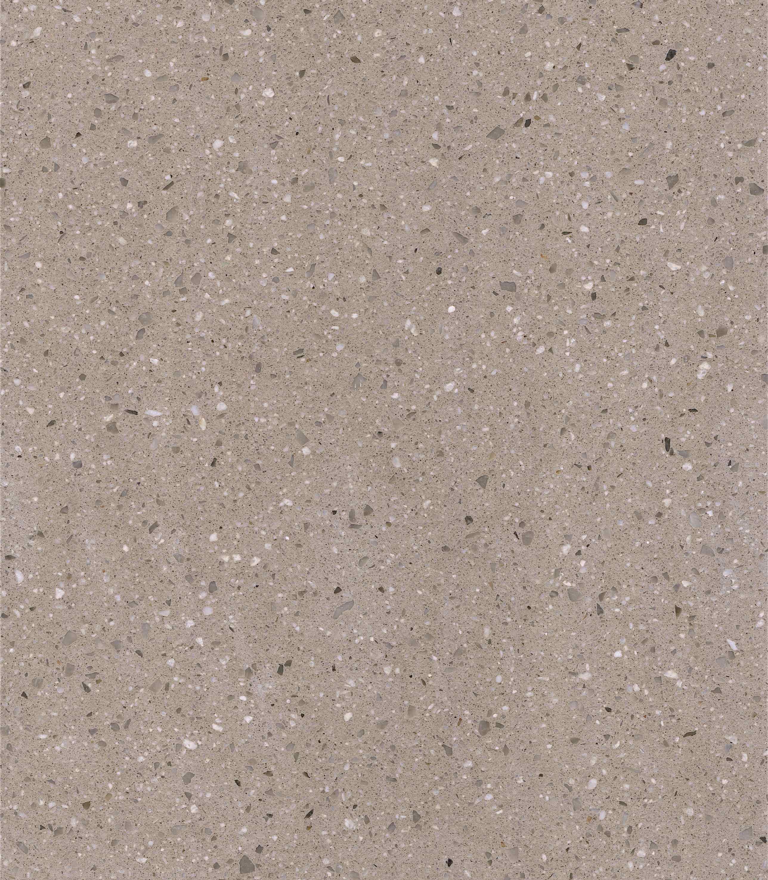 Sinai Pearl Ivory