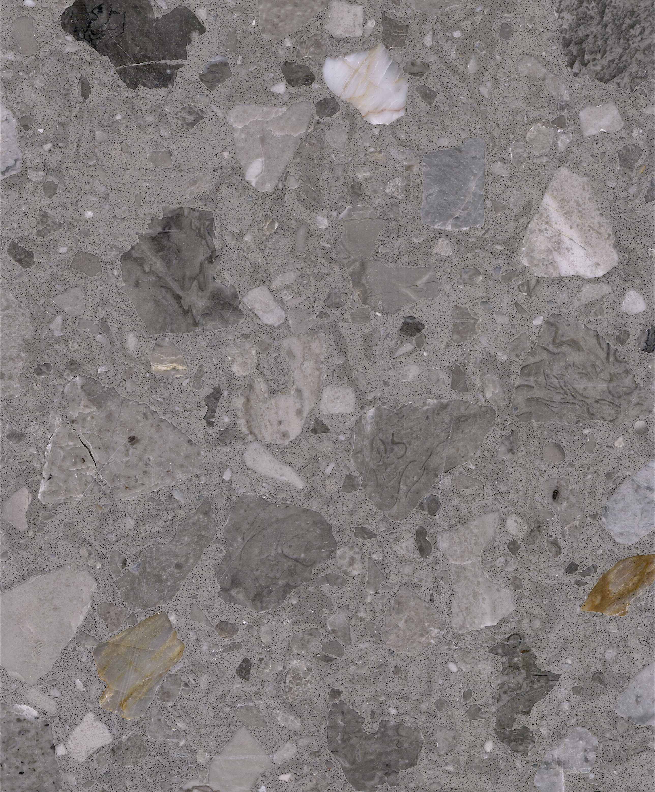 Desert Grey