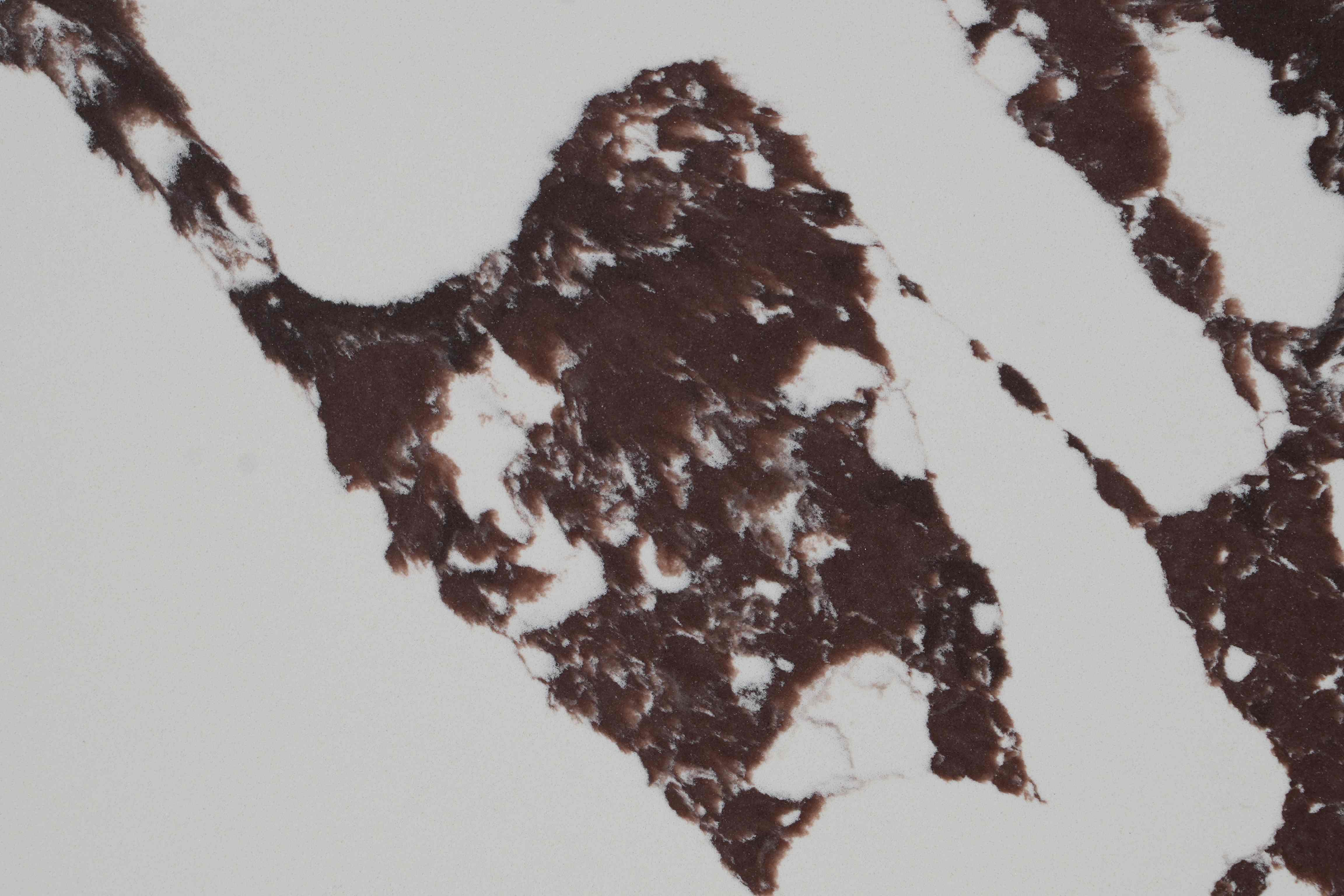 6321.jpg