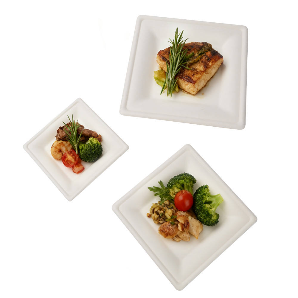 SUGARCANE BAGASSE PLATES - 8 INCH SQUARE PLATE