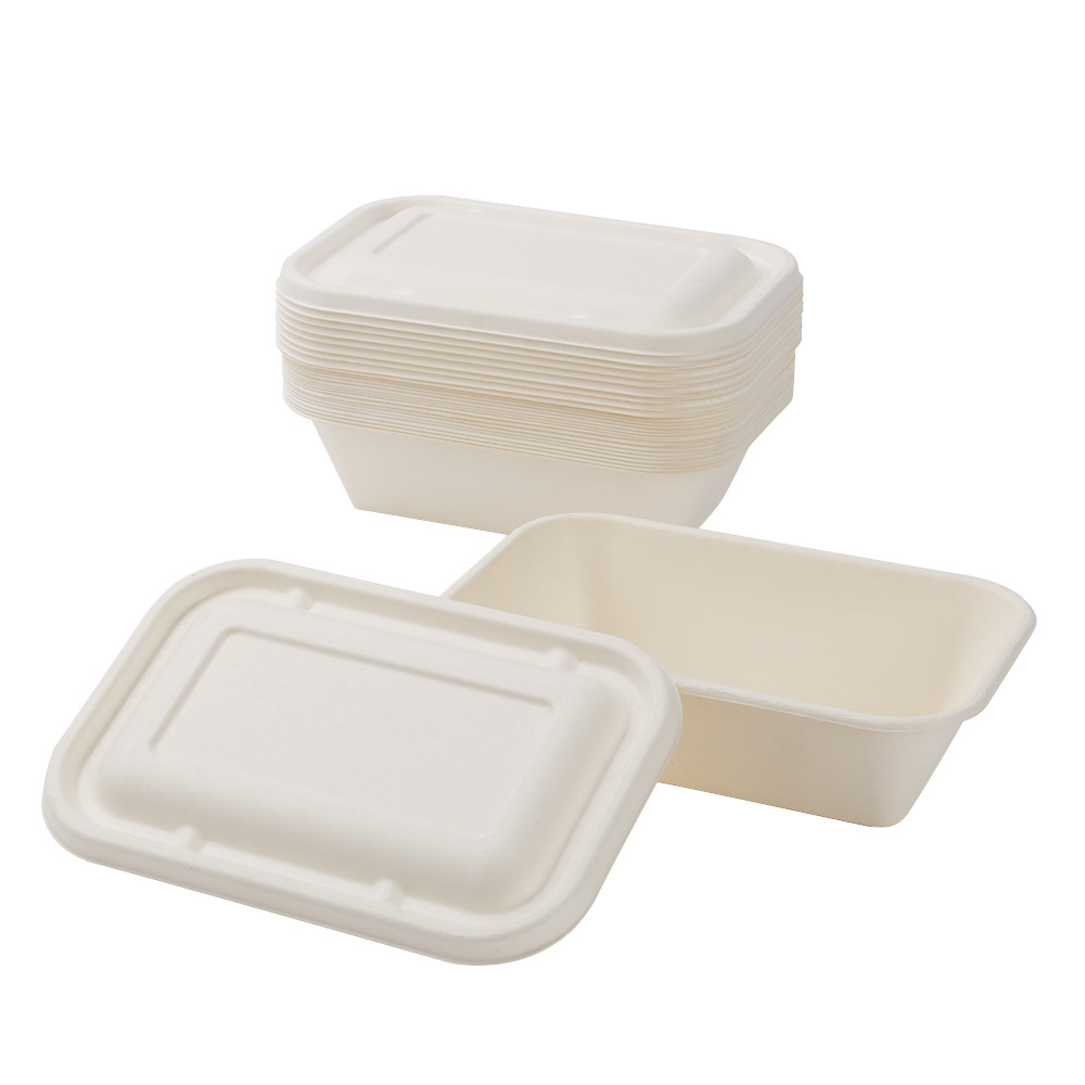 SUGARCANE BAGESSE FOOD CONTAINERS - 1000ml food container with a lid