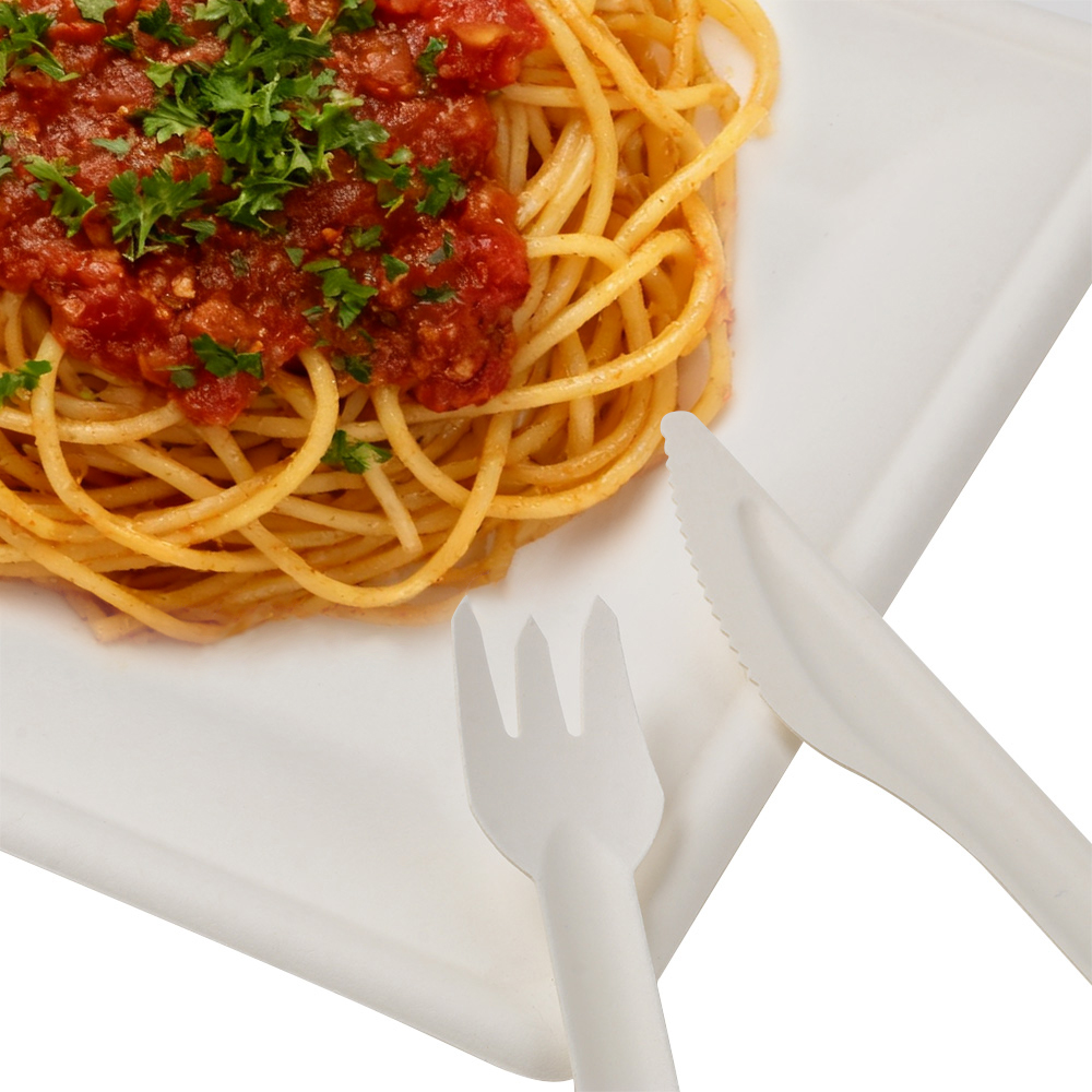 SUGARCANE BAGESSE CUTLERY