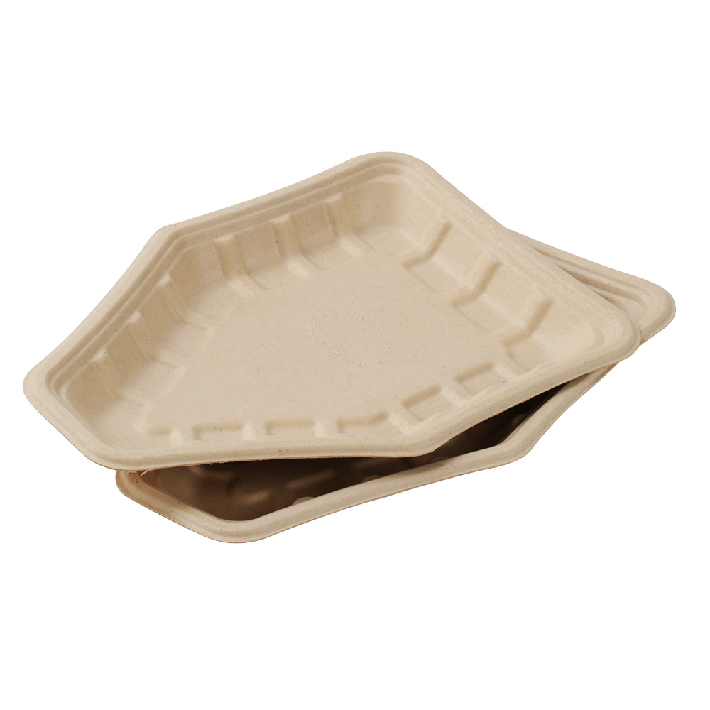 Leading Professional Bagasse Trays Supplier with Reliable Eco Tableware Solutions
