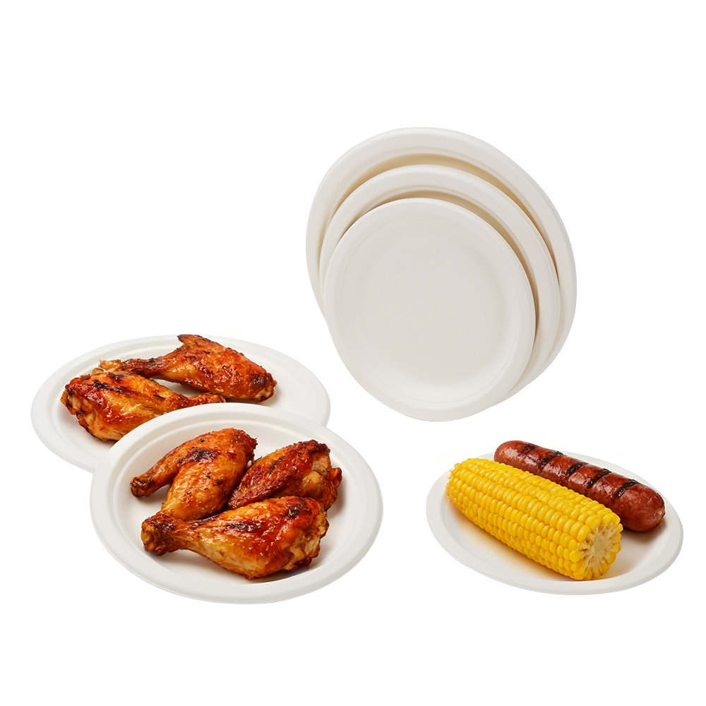 SUGARCANE BAGESSE PLATES - 9 INCH ROUND PLATE