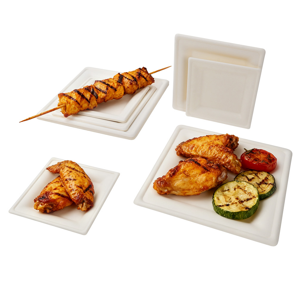 SUGARCANE BAGASSE PLATES - 6 INCH SQUARE PLATE