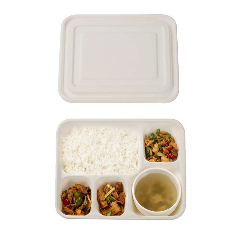 Premium Disposable Bagasse Plates for Eco-Friendly Dining