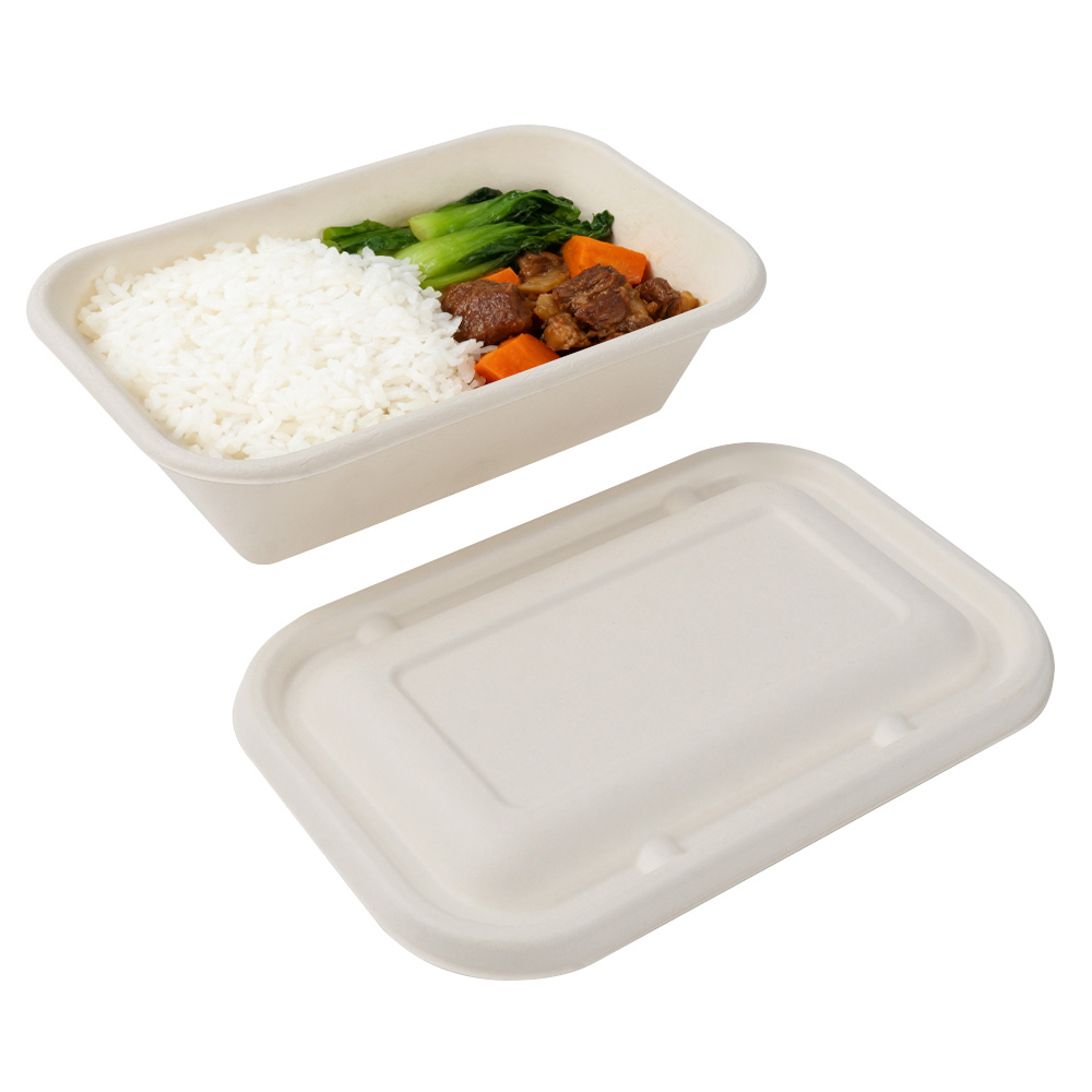 Alegerea superioară pentru soluții ecologice în domeniul serviciilor de alimentație