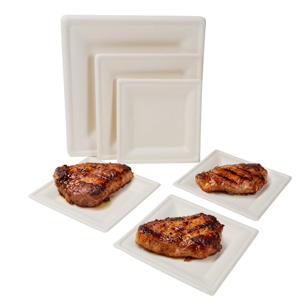 SUGARCANE BAGASSE PLATES - 10 INCH SQUARE PLATE