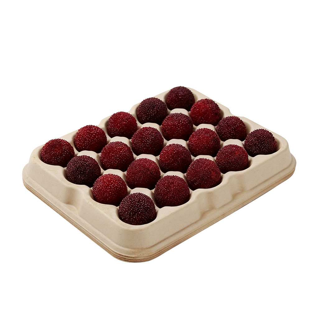 SUGARCANE BAGESSE TRAYS-28*22*2.8cm Yangmei tray