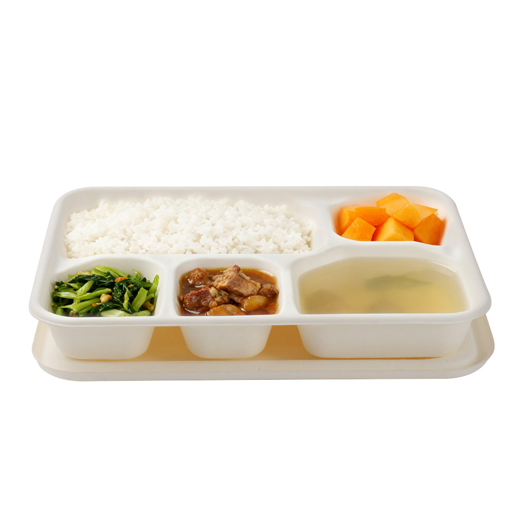 Descubra los beneficios de los platos biodegradables de bagazo