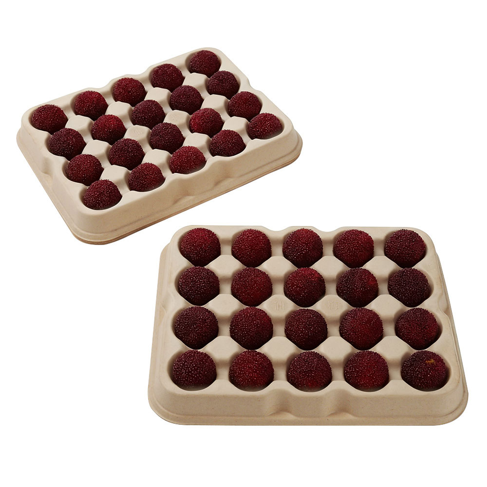 Unmatched Eco-Friendly Solutions for Snack Trays