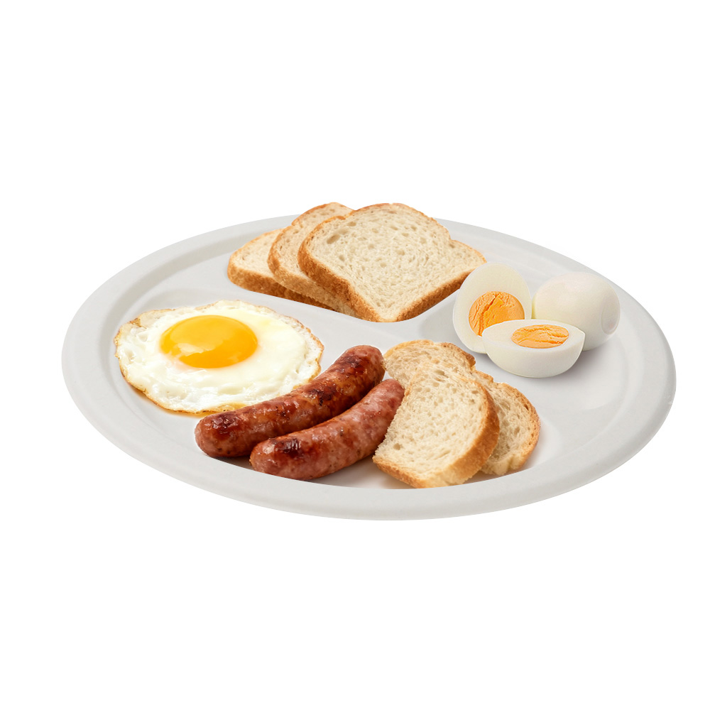 Why Choose Bagasse Food Packaging?