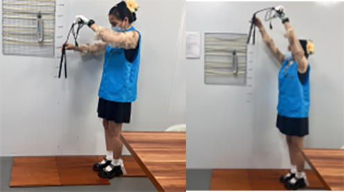 3 Feet 6 Feet Düşürme Testi