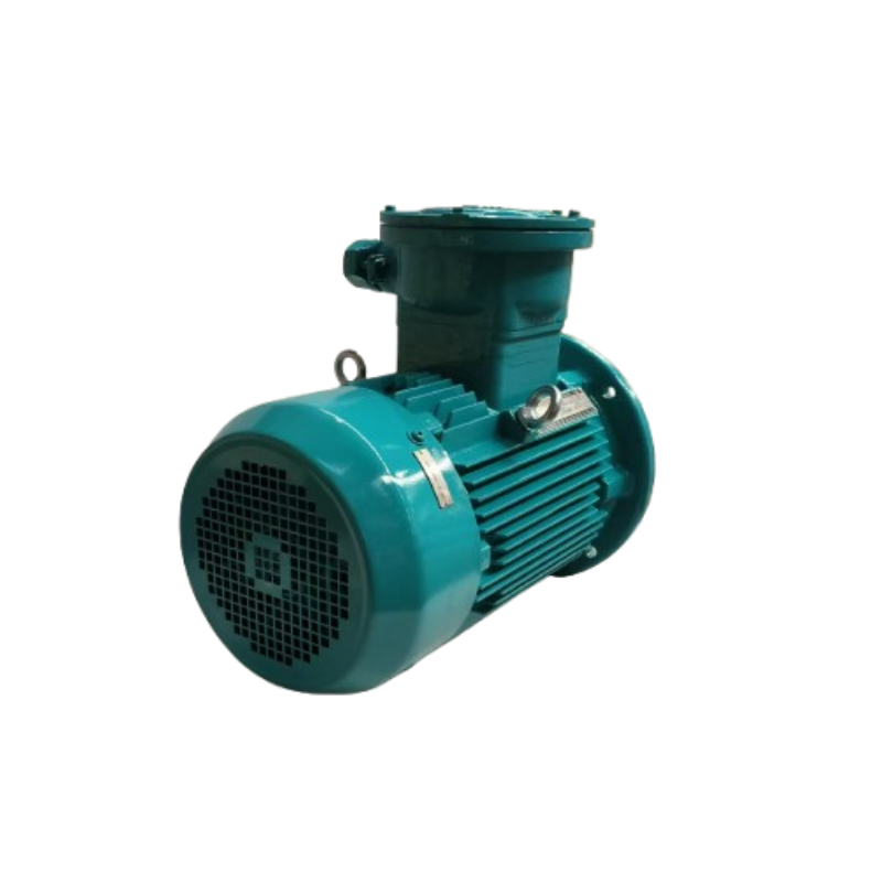 How to choose the right 6 pole motor for your needs