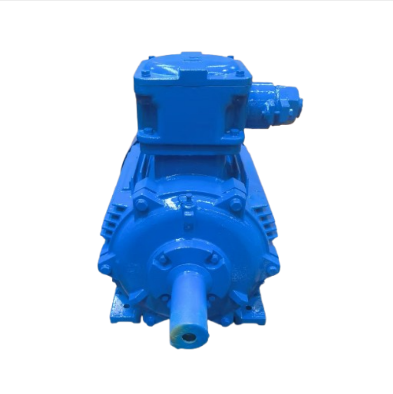 How Flameproof Induction Motors Enhance Safety in Hazardous Environments