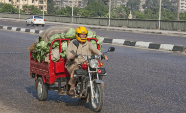 Food Transportation