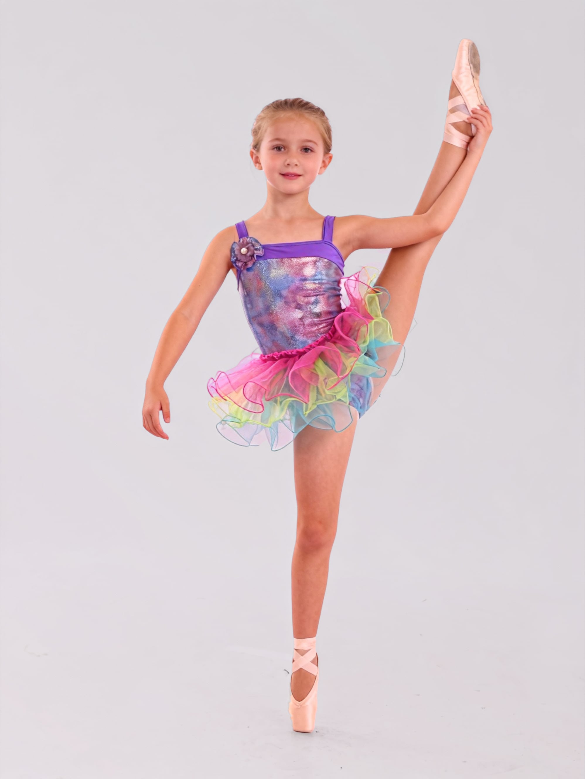 ABB-26118-Aurora-Purple-Ballet TuTu