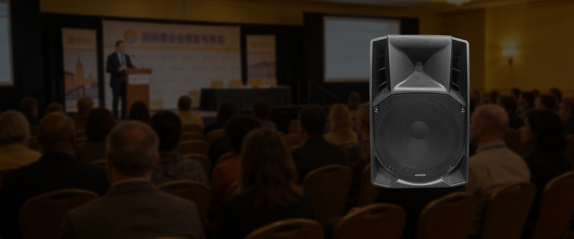 Professional Stage Audio Equipment | Shaohua Industrial
