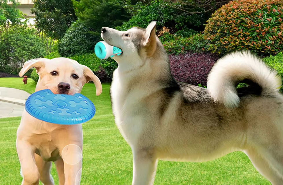 Your Trusted Pet Product Expert